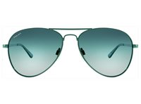 POLAR 664 29  - 9000000006525